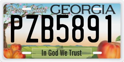 GA license plate PZB5891