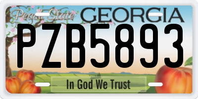 GA license plate PZB5893