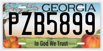GA license plate PZB5899
