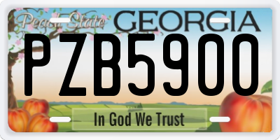 GA license plate PZB5900