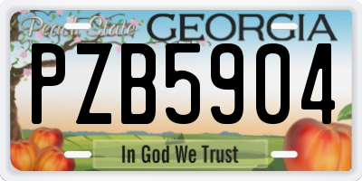 GA license plate PZB5904