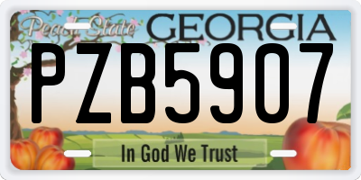 GA license plate PZB5907