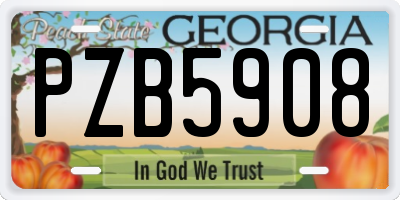 GA license plate PZB5908