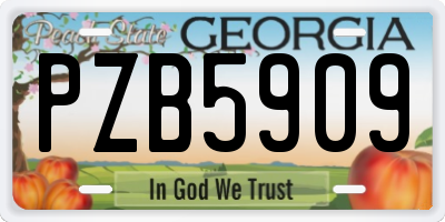 GA license plate PZB5909