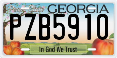 GA license plate PZB5910
