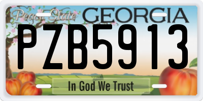 GA license plate PZB5913