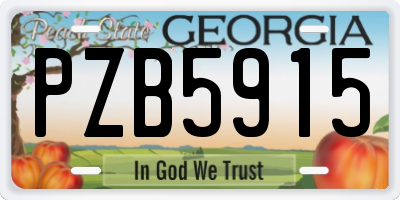 GA license plate PZB5915