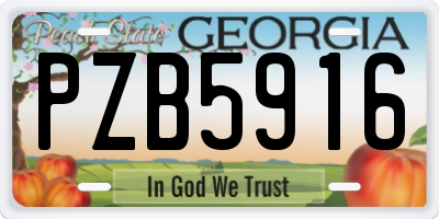 GA license plate PZB5916
