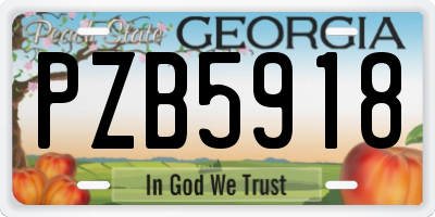 GA license plate PZB5918