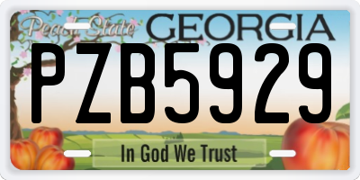 GA license plate PZB5929