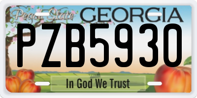 GA license plate PZB5930