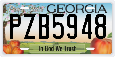 GA license plate PZB5948