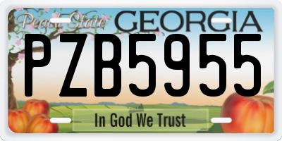 GA license plate PZB5955