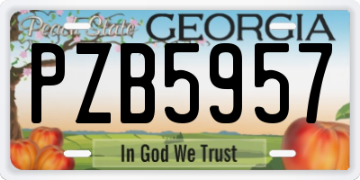GA license plate PZB5957