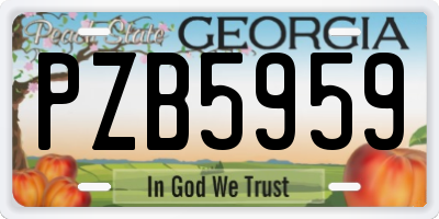 GA license plate PZB5959