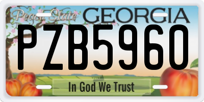 GA license plate PZB5960