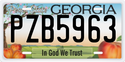 GA license plate PZB5963