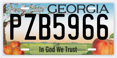 GA license plate PZB5966