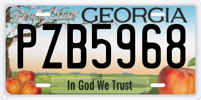 GA license plate PZB5968