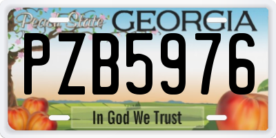 GA license plate PZB5976