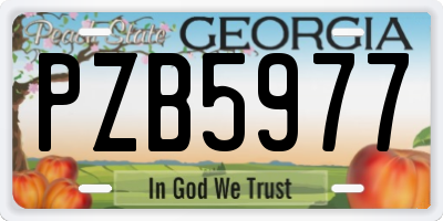 GA license plate PZB5977