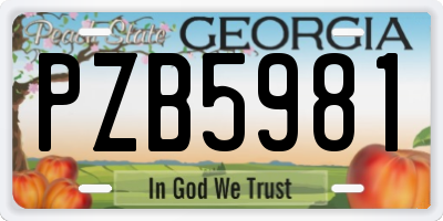 GA license plate PZB5981