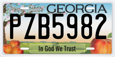 GA license plate PZB5982
