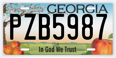 GA license plate PZB5987