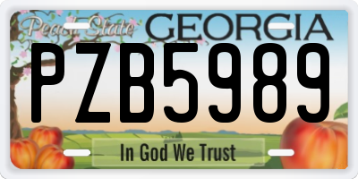 GA license plate PZB5989
