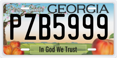 GA license plate PZB5999