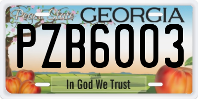 GA license plate PZB6003