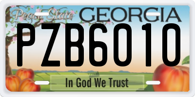 GA license plate PZB6010