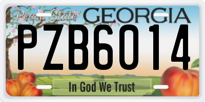 GA license plate PZB6014