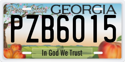 GA license plate PZB6015