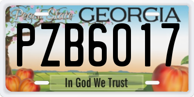 GA license plate PZB6017