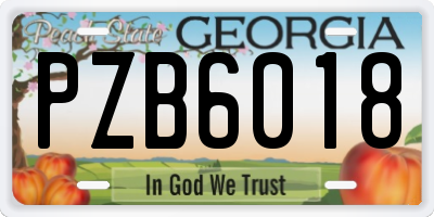 GA license plate PZB6018
