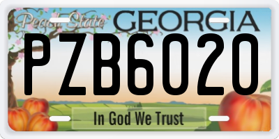 GA license plate PZB6020
