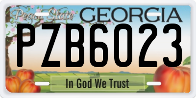 GA license plate PZB6023
