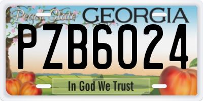 GA license plate PZB6024