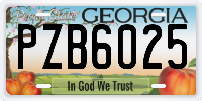 GA license plate PZB6025