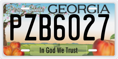 GA license plate PZB6027