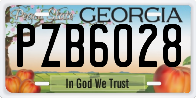 GA license plate PZB6028