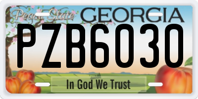 GA license plate PZB6030