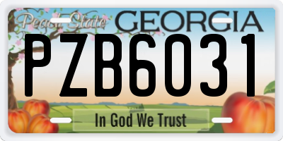 GA license plate PZB6031