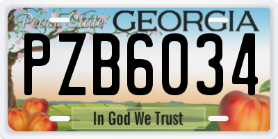 GA license plate PZB6034