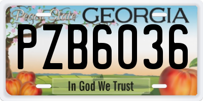 GA license plate PZB6036