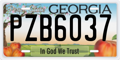 GA license plate PZB6037