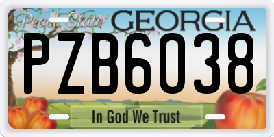 GA license plate PZB6038