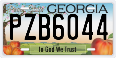GA license plate PZB6044