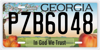 GA license plate PZB6048
